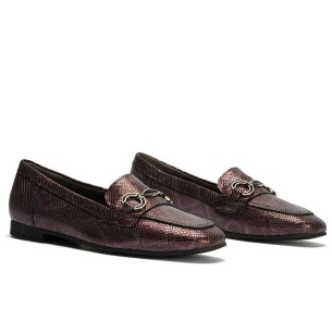 JucaZapatos - PITILLOS 2