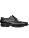 JucaZapatos - Callaghan 63300 Vitorio Dussy Negro