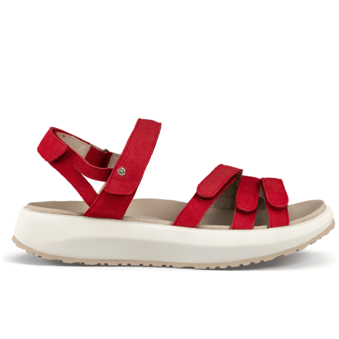 JucaZapatos - Joya Merida red JY049A