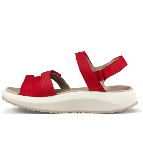 JucaZapatos - Joya Merida red JY049A