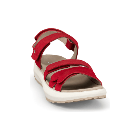 JucaZapatos - Joya Merida red JY049A
