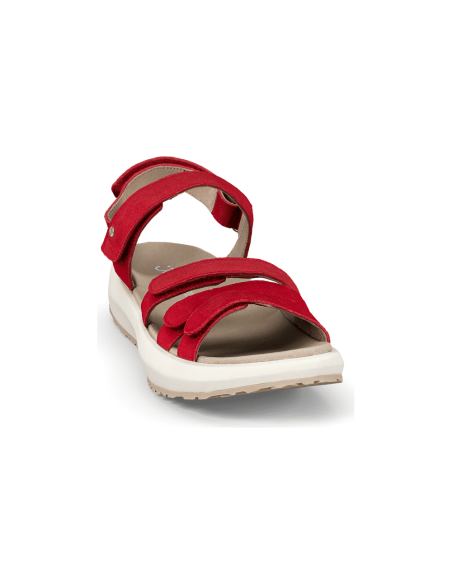 JucaZapatos - Joya Merida red JY049A
