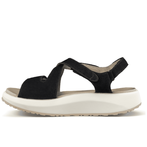 JucaZapatos - Joya Jenny black JY048A