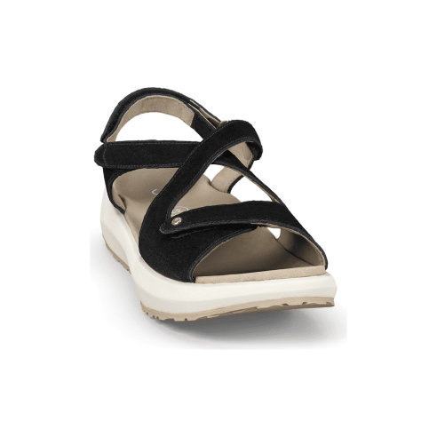 JucaZapatos - Joya Jenny black JY048A