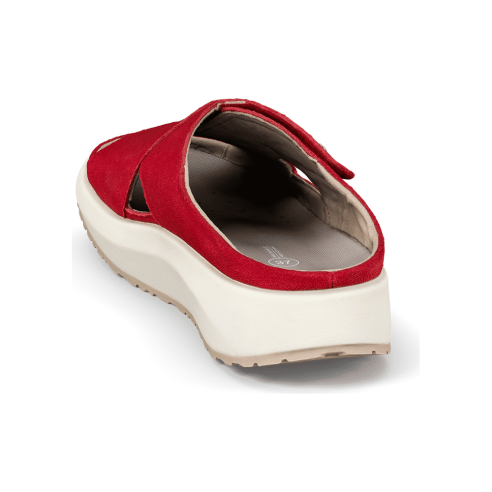 JucaZapatos - Joya Alicante red JY046A