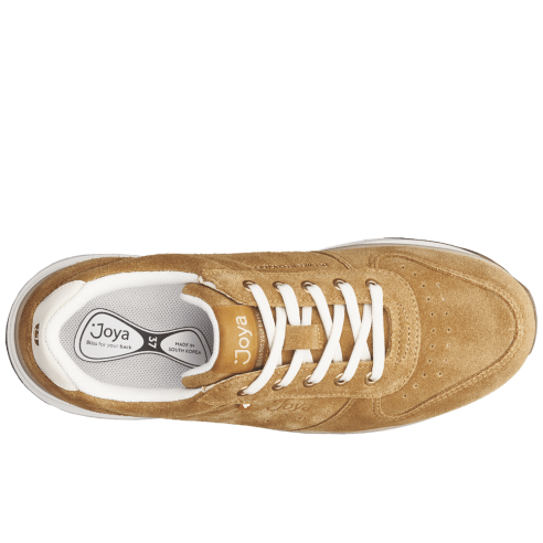 JucaZapatos - Joya Dynamo classic dark yellow JY019A