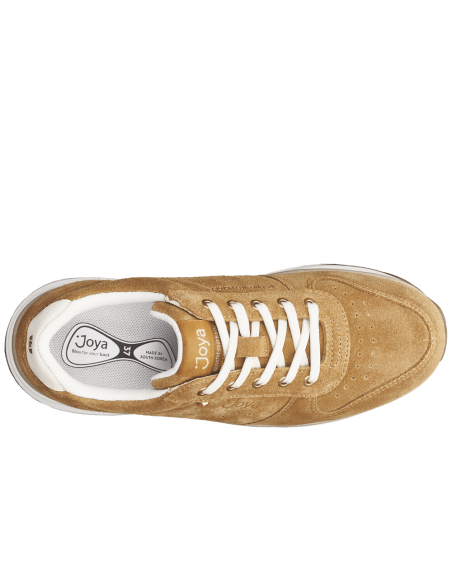 JucaZapatos - Joya Dynamo classic dark yellow JY019A