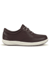 JucaZapatos - Joya Boston dark brown 250cas