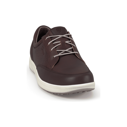 JucaZapatos - Joya Boston dark brown 250cas