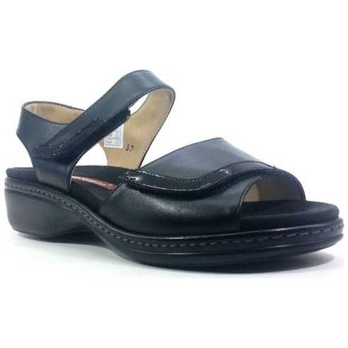 JucaZapatos - Piesanto 4802 negro