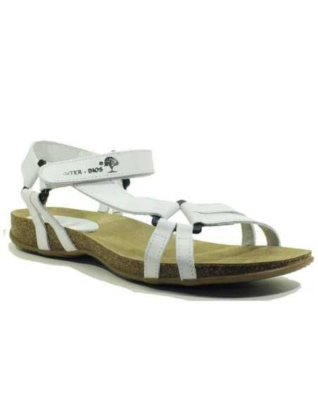 JucaZapatos - Interbios 5412 blanco