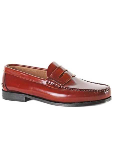 JucaZapatos - Mose 4071 marron