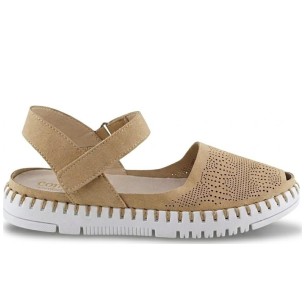 JucaZapatos - WALK & FLY