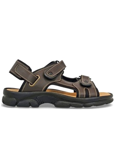JucaZapatos - Morxiva 7009 marron