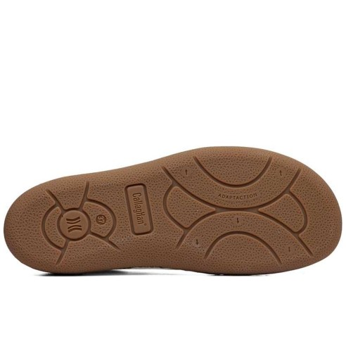 JucaZapatos - Callaghan 65501 Zero-Shoe Sra Luxe Angel