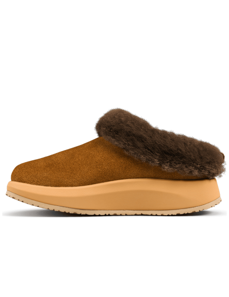 JucaZapatos - Joya Riga brown ii JY143A