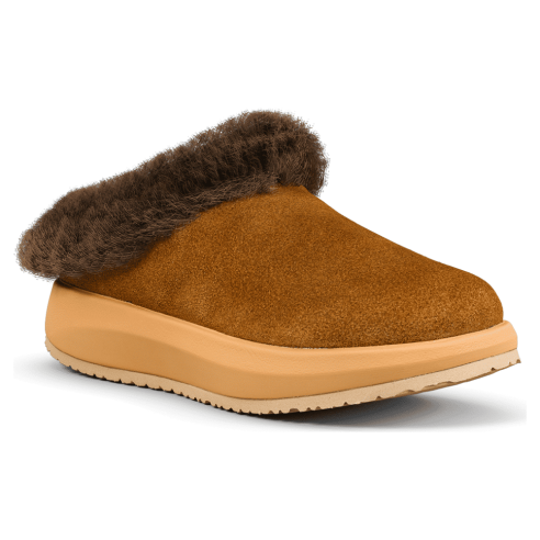 JucaZapatos - Joya Riga brown ii JY143A