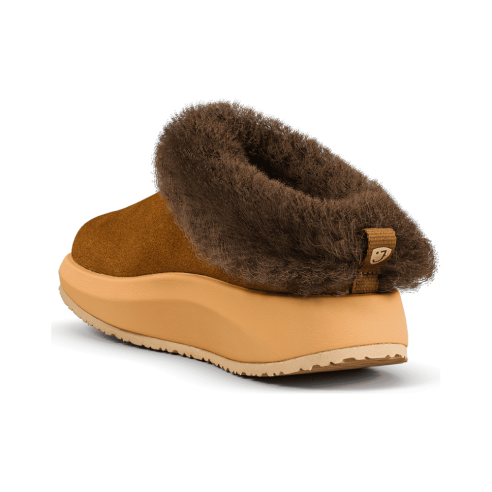 JucaZapatos - Joya Riga brown ii JY143A