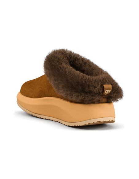 JucaZapatos - Joya Riga brown ii JY143A