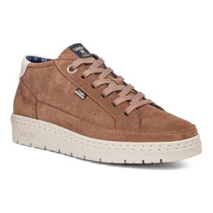 Callaghan - 55816-Petete-Sra.-Sun-Trufa - 55816 Petete Sra. Sun Trufa - 1 2