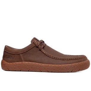 Callaghan - 67951-Terra-B-Ibon-Choco - 67951 Terra B Ibon Choco - 1