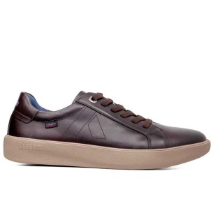 Callaghan - 65700-Phoenix-Vitelo-Testa - 65700 Phoenix Vitelo Testa - 1